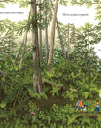 When a Tree Falls Book – Nurse Logs & the Power of Forest Ecosystems | Kids Nature Book