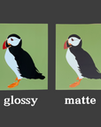 Puffin Art Print – Coastal Bird Wall Decor, Modern Seabird Illustration for Nature & Ocean Lovers