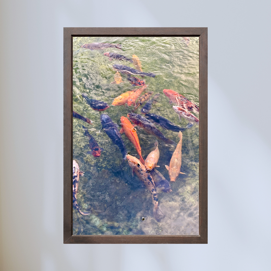 Koi Pond Print