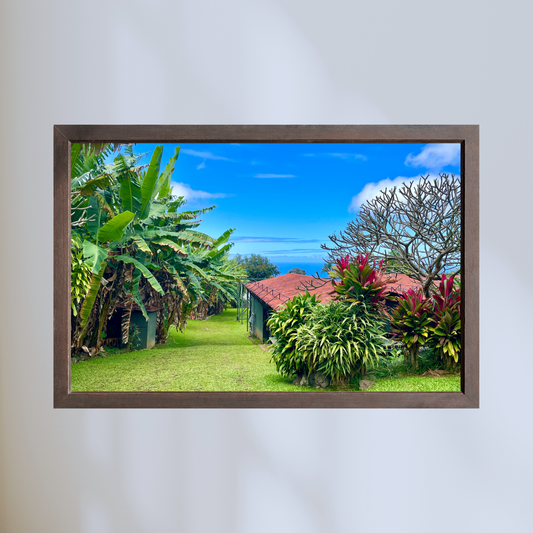 Kona Coffee Farm Print