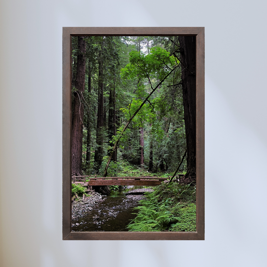 Muir Woods Bridge to the Redwoods Print