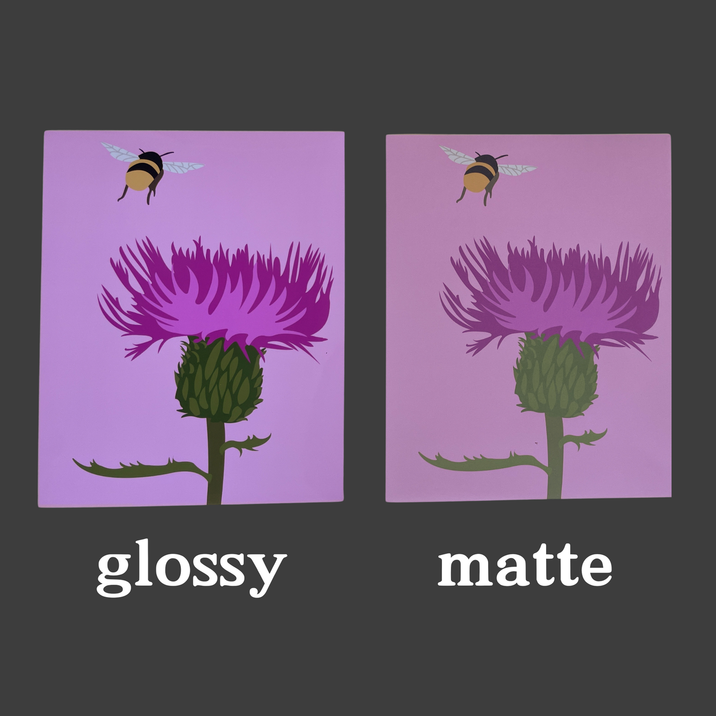 Thistle with Bumble Bee Art Print