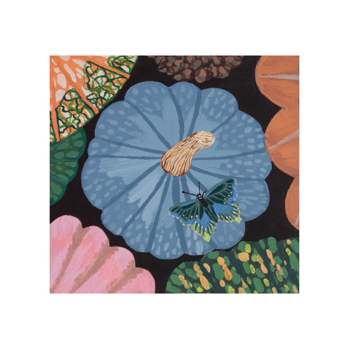 Butterfly on Blue Pumpkin Art Print – 5x5 Autumn Wall Art