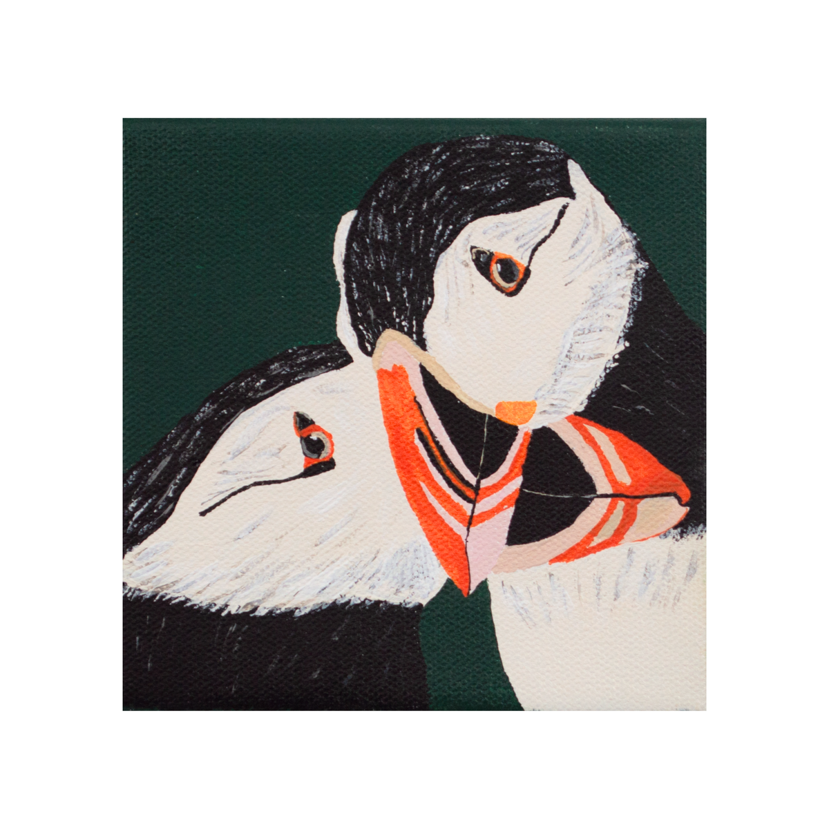 Puffin Pair Art Print – 5x5 Coastal Bird Wall Art